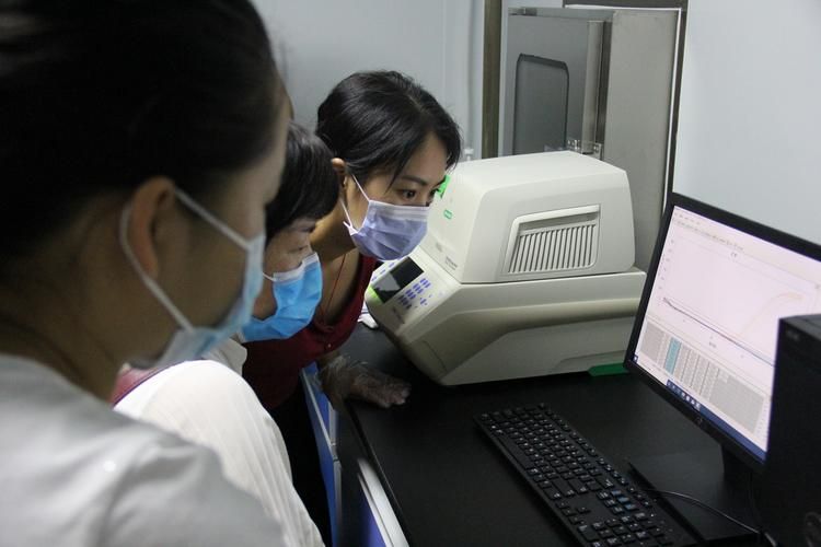 【苍南县累计报告核酸阳性29例,苍南县新冠病毒疫情防控第9号通告】