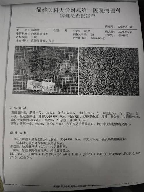 吉林省通化市辉南县累计报告死亡病例19例/通化辉南县地图