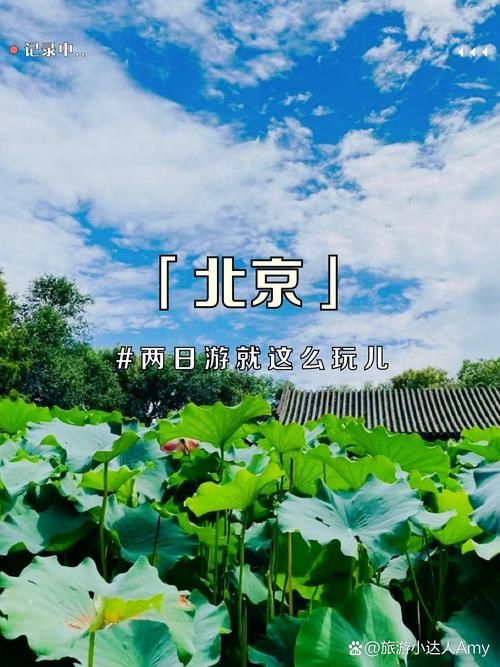 北京市最新最新通报：寻找同轨迹人员/北京市行程轨迹