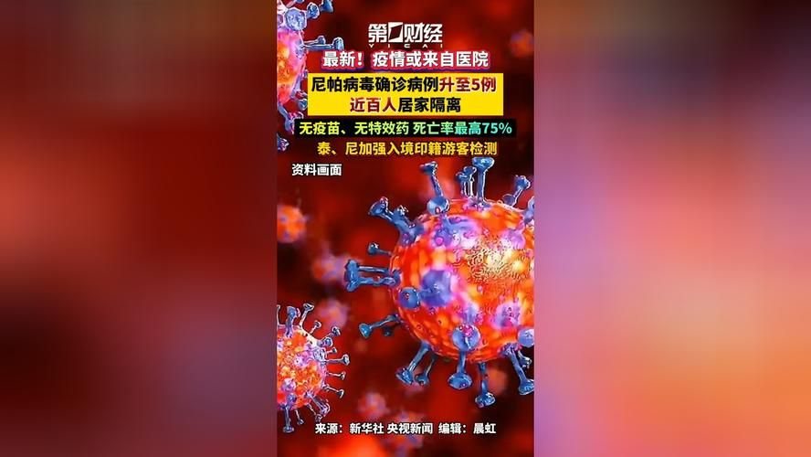 全球新增确诊4例均为境外输入(全球新增确诊4例均为境外输入病例)