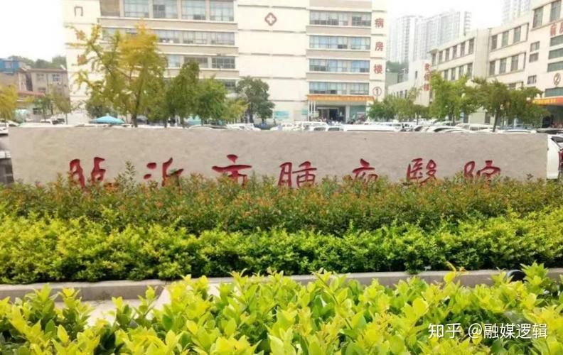 【山东临沂临沂高新技术产业开发区现有重症4例_山东临沂高新技术学院】
