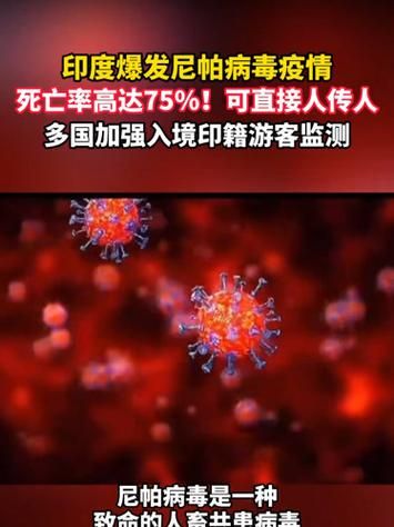 【全球疫情存反弹风险,全球疫情反复】