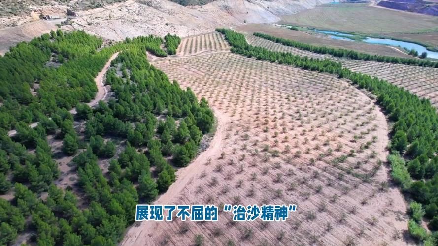 青海海南藏族自治州贵南县今日新增4例境外输入病例(青海省海南州贵南县疫情)