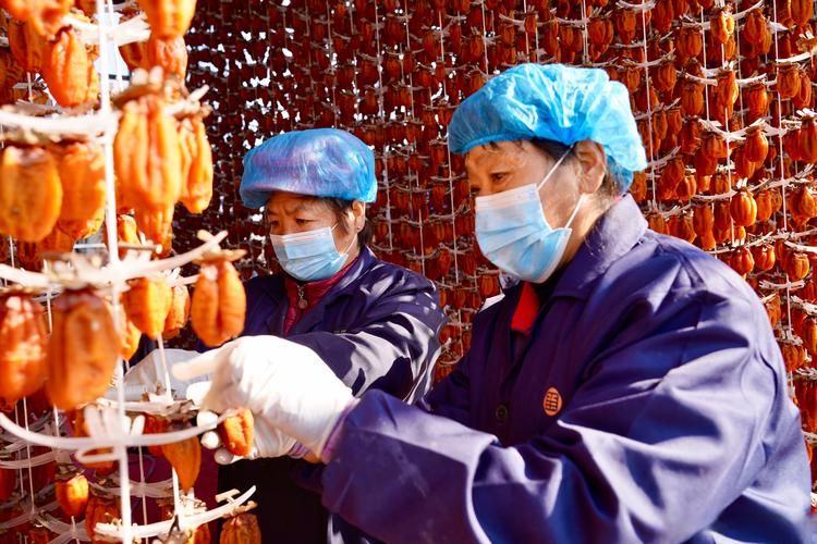 【专家:陕西省渭南市富平县每年或现多个感染高峰_渭南富平县最新疫情】