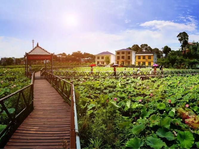  湘东区什么时候可以封城:湘东区疫情防控指挥部