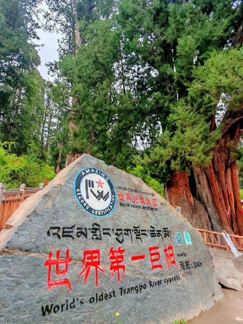 西藏自治区林芝市巴宜区新增28例阳性感染者,涉及南平:林芝巴宜区在哪里