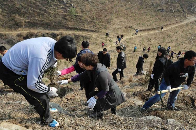 鹰手营子矿区3月2日无新增重症_鹰手营子矿区宣传片