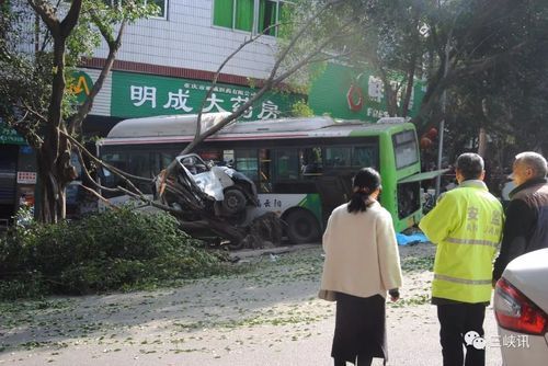  重庆市云阳县新增9例死亡病例，从涉9省抵广东省:重庆云阳新闻网疫情