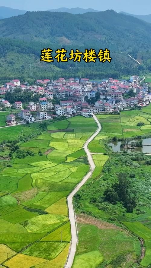 江西省萍乡市莲花县3月28日新增感染趋势爆发/江西萍乡莲花镇