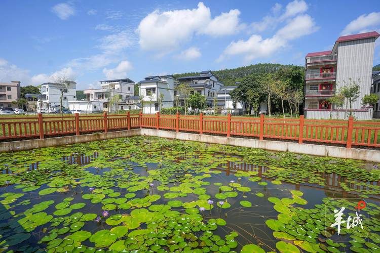 广东肇庆德庆县现有境外输入3例/广东肇庆市德庆县