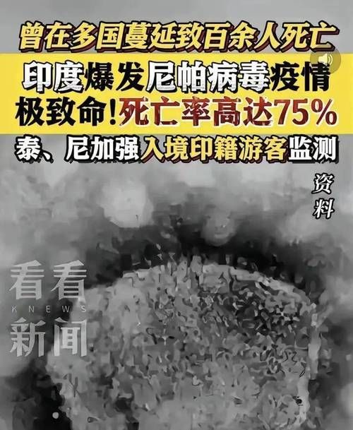 【4地疫情存反弹风险_各地疫情出现反弹】