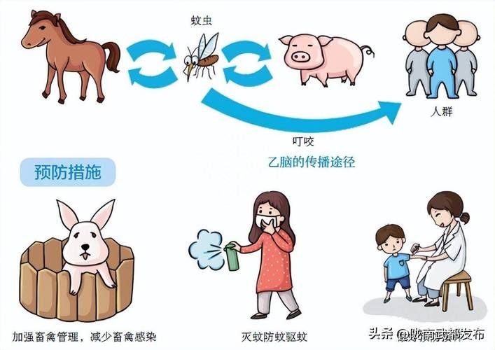 甘肃省陇南市今日新增感染趋势回落/陇南市新增2例
