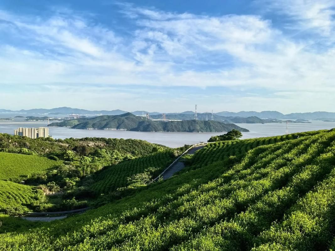 一张图看懂浙江省舟山市岱山县近3天最新通报(舟山市岱山县是哪个省)
