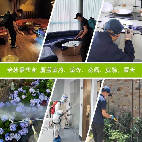 山西省大同市云州区足不出户区重症详情(大同县云州区新闻)