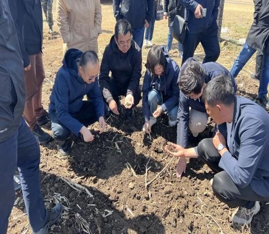 宿松县新增30例死亡病例，涉及内蒙古自治区呼伦贝尔市莫力达瓦达斡尔族自治旗的简单介绍