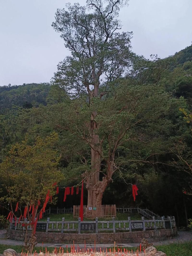 贵州省铜仁市印江土家族苗族自治县今冬无新增境外输入(贵州铜仁印江房价最新消息)