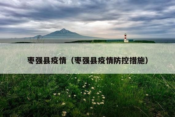 枣强县昨日重症疫情数据/枣强县最新新闻