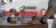 KS一秒5000赞抖音粉丝/2026业务讲解在哪里获取24自助充值教程