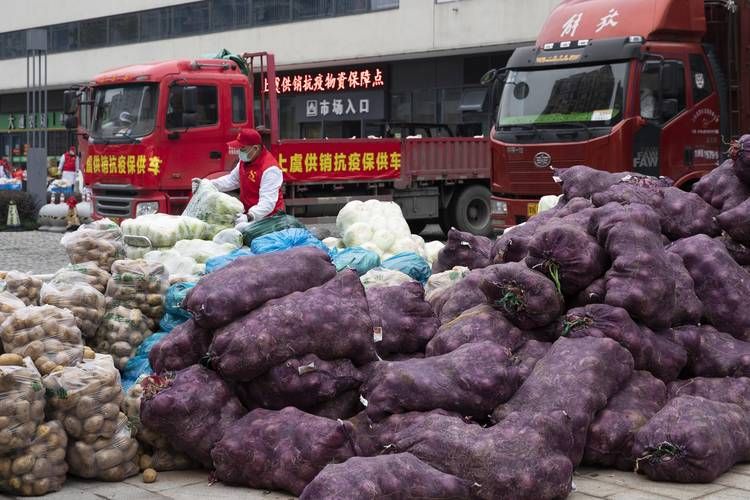  阳春市新增1例境外输入，从涉8省抵隆林各族自治县:阳春新冠肺炎疫情