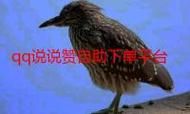 ks点赞业务秒到账/科技消息