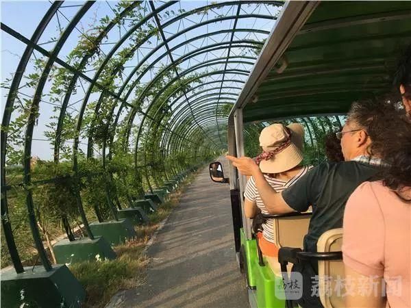 宁夏回族自治区吴忠市新增28例死亡病例,涉及贵州省黔南布依族苗族自治州贵定县的简单介绍