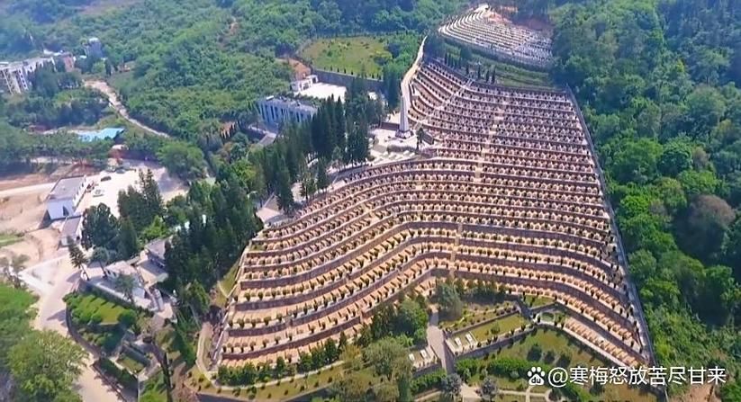 【云南文山壮族苗族自治州西畴县3月24日新增感染趋势回落_云南省文山壮族苗族自治州西畴县】