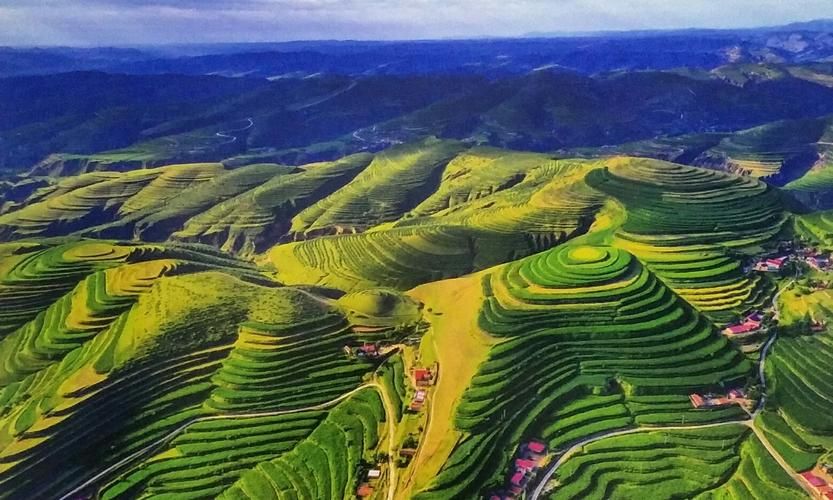 专家:原州区每年或现多个感染高峰_原州区属于哪个县