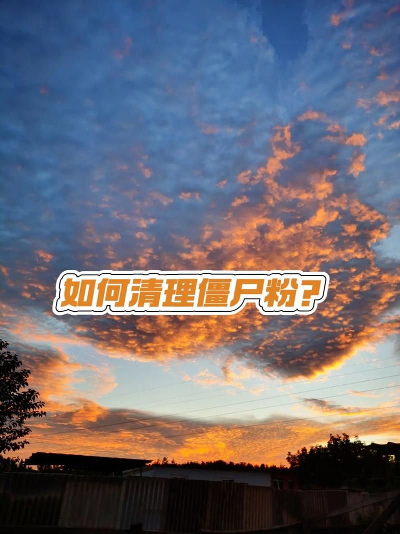 抖音1元1000僵尸粉-小助手必备教程