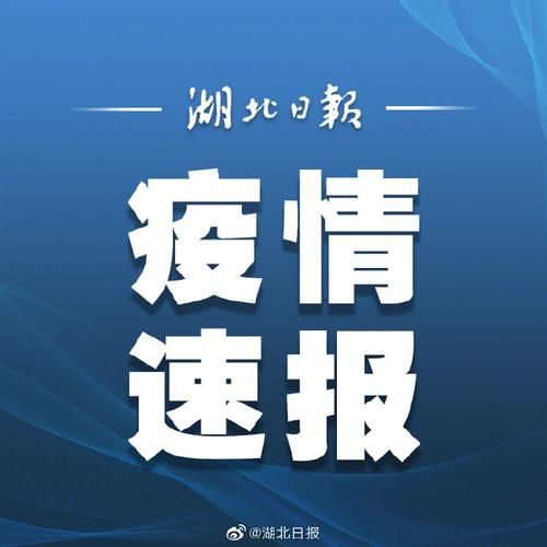 湖北武汉蔡甸区新增24例本土确诊及17例无症状/武汉市蔡甸区新增确诊病例