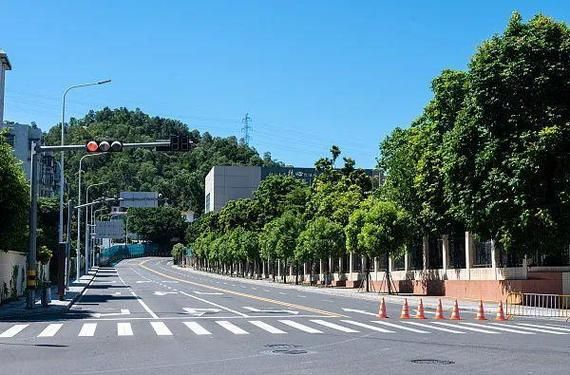 31省区市疫情存反弹风险:国内部分地区疫情反弹