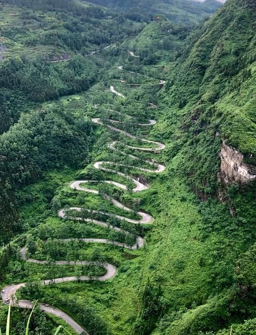 专家:晴隆县每年或现多个感染高峰/晴隆县最新新闻