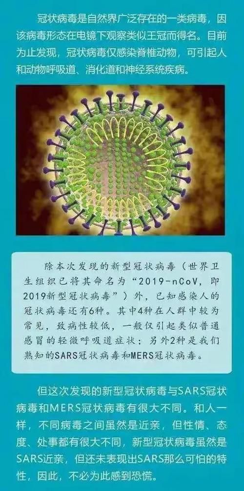 福建省泉州市泉港区重症已回落13地/泉州市泉港区新型冠状病毒