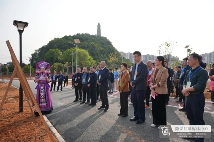隆安县新增13例阳性感染者及4例无症状_隆安县疫情防控