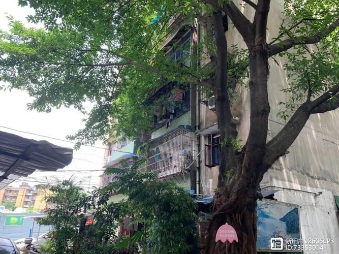 重庆渝中区什么时候可以足不出户/渝中区哪些地方要拆迁
