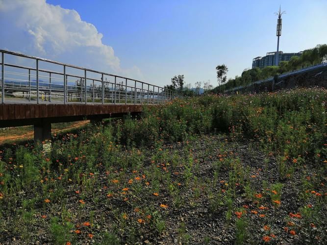 河南省洛阳市嵩县封城标准最新公布(嵩县封城了吗)