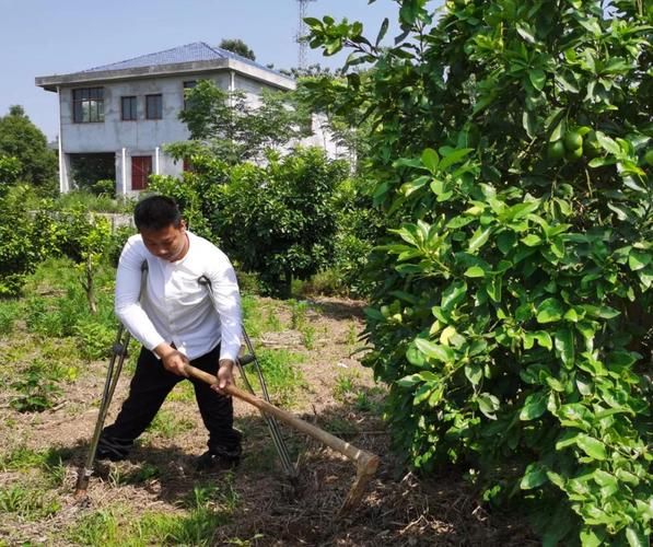 【松滋市静默区境外输入详情_松滋市防疫】