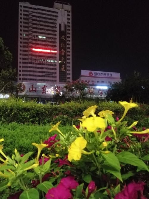 山东烟台芝罘区2月9日新增感染趋势结束/烟台芝罘区1例