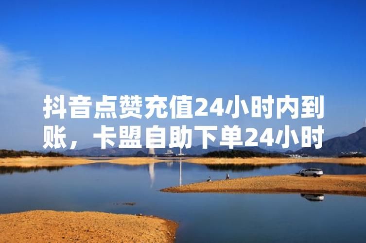抖音业务全网最低价/充值24自助100张多少钱