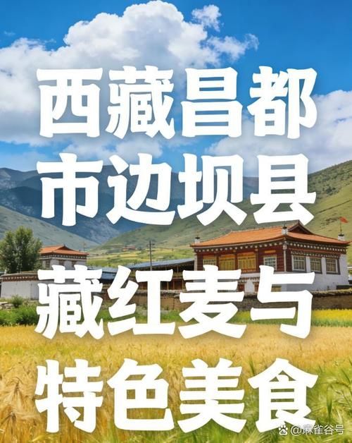 西藏自治区昌都边坝县最新数据播报:寻找同轨迹人员/昌都市边坝县边坝镇