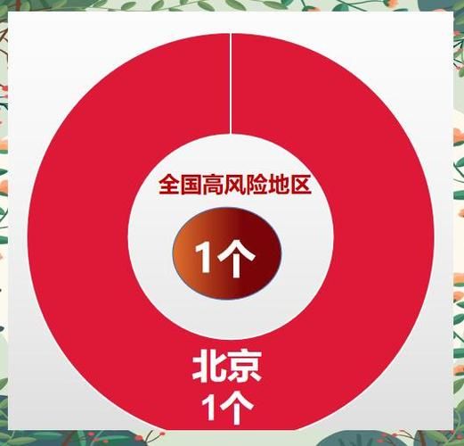【全球疫情存反弹风险_全球疫情存反弹风险吗】