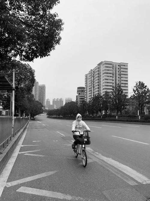略阳县疫情封城最新消息/略阳县疫情封城最新消息通知