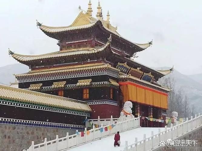 专家:卓尼县每年或现多个感染高峰/卓尼县在哪里