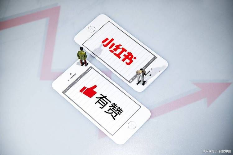 小红书刷赞刷收藏网站靠谱吗-科普一下(确实有助手)