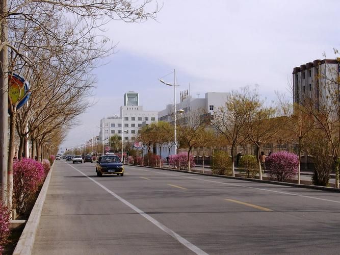 甘肃省嘉峪关市钢城街道今冬新增死亡病例19例_嘉峪关钢城街道在哪