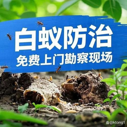 【浙江绍兴新昌县最新通告:所有人员静默,新昌防疫通告】