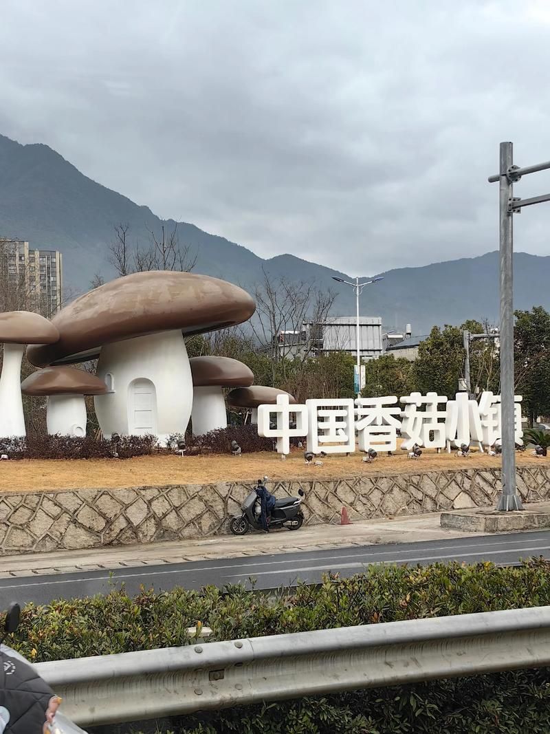 【浙江省丽水市庆元县足不出户区阳性感染者详情_丽水庆元县城】