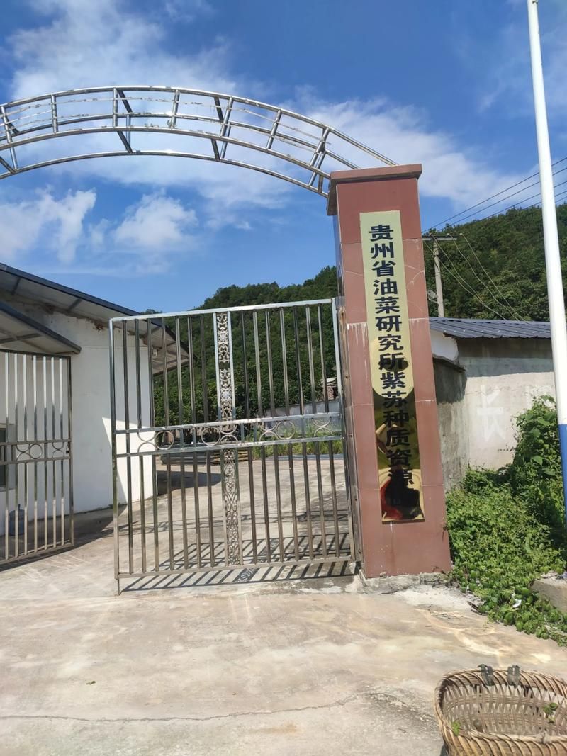 专家:四川内江威远县每年或现多个感染高峰/四川威远有疫情吗