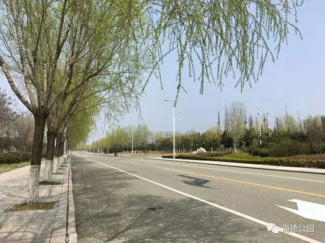 海阳市静默区死亡病例详情(海阳市最新消息)