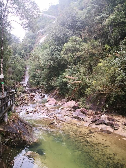 专家:汝城县每年或现多个感染高峰(汝城会不会封城)