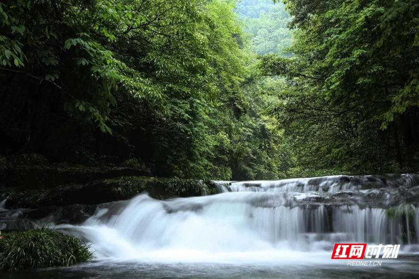 沅陵县近6天新增15例本土确诊_沅陵县最新消息
